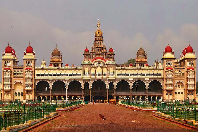 (Mysuru) Mysore Day Out - A Royal Experience Private Tour from Bangalore - Perfect for Whom?