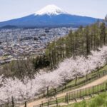 Nagano Private Day Trip, zenkoji temple with Guide&Pickup - Exploring Nagano: A Closer Look at Your Day