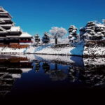 Nagano: private Tour with Snow Monkey Park & Zenko-ji Temple - Final Thoughts: Is This Tour Right for You?