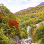 Nagano: Private Walking Tour with a Local - Authenticity and Value: The Experience From the Traveler’s Perspective