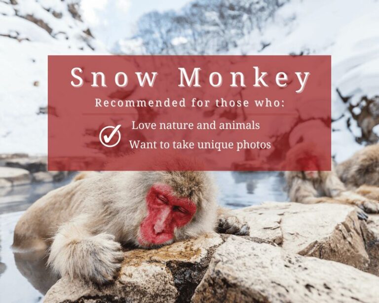 Nagano: Snow Monkeys, Sake Tasting & Zenkoji Private Tour - Why This Tour Offers Great Value
