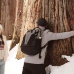 Nagano: Togakushi Shrine, Sake & Zenkoji Private Tour - Final Thoughts