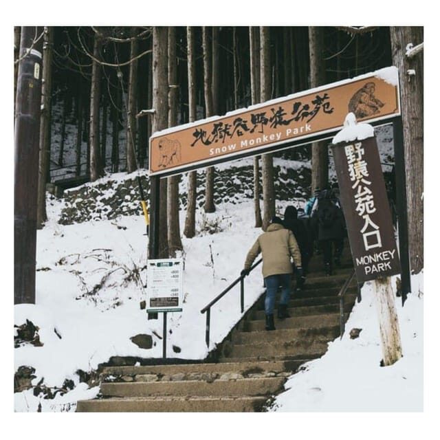 Nagano Tokyo: Snow Monkey Private Day Tour Hotel Pick & Drop - A Deep Dive into the Nagano Private Day Tour