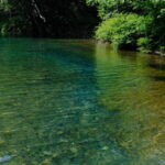 Nagano UNESCO Park: Emerald Acid Lake & Ghibli Onsen Town - What to Expect: Practical Details