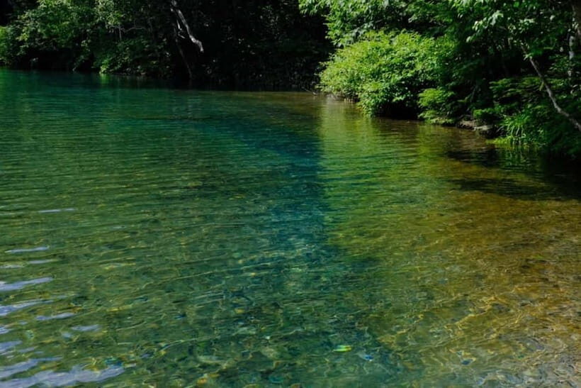 Nagano UNESCO Park: Emerald Acid Lake & Ghibli Onsen Town - What to Expect: Practical Details