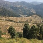 Nagarkot Full-Day Hiking Tour from Kathmandu - Who Should Consider This Tour?