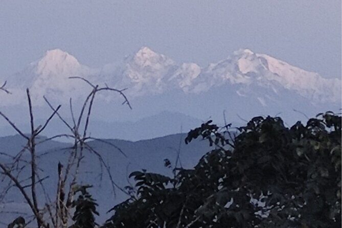 Nagarkot Sunrise Tour - Authentic Experiences and Genuine Feedback