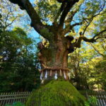 Nagoya: Atsuta Shrine and Sword Museum Guided Tour - The Cultural Treasure Museum: Artifacts Through the Ages