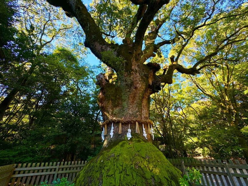 Nagoya: Atsuta Shrine and Sword Museum Guided Tour - The Cultural Treasure Museum: Artifacts Through the Ages