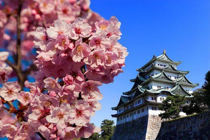 Nagoya Half Day Tour with a Local: 100% Personalized & Private - Authenticity and Local Insights