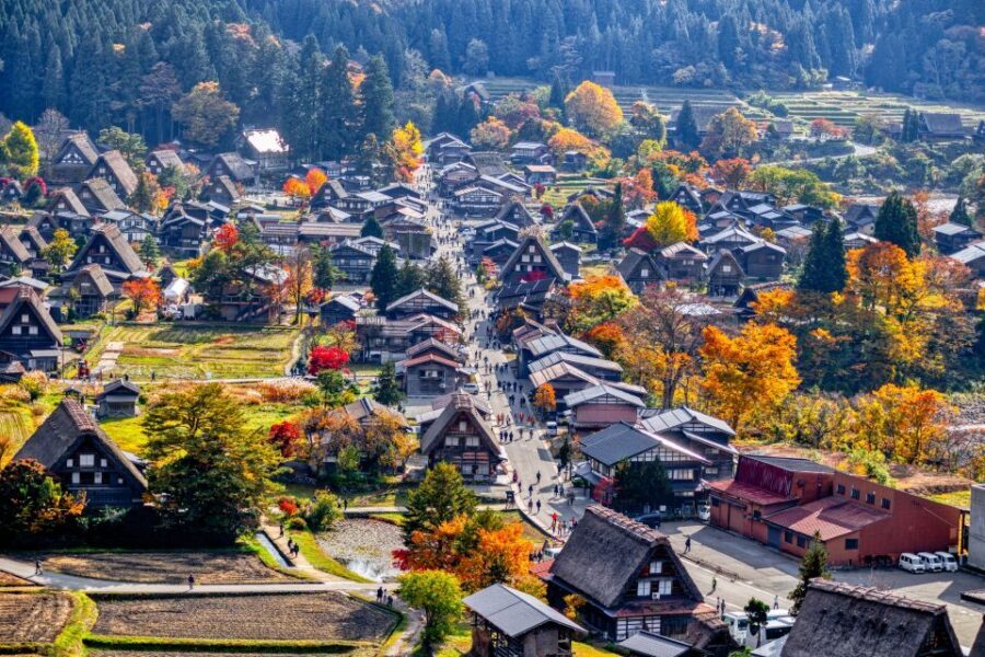 Nagoya: Hida Takayama & Shirakawa-go Tour w/Optional Lunch - A Closer Look at the Experience