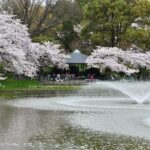 Nagoya Private Customizable Full Day Tour - Deep Dive into the Experience