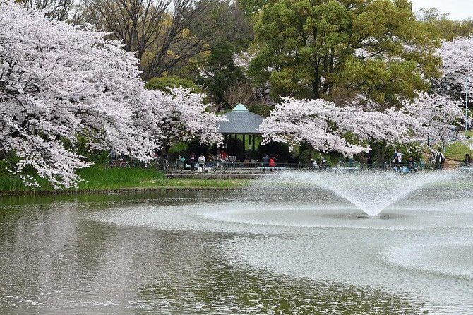 Nagoya Private Customizable Full Day Tour - Deep Dive into the Experience