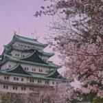 Nagoya Private Customizable Half Day Tour - Who Would Enjoy This Tour?