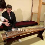 Nagoya: Private Koto Lesson with Professional Musician - Practical Details and Tips