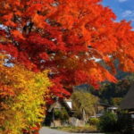 Nagoya: Takayama & Shirakawa-go Day Trip w/ Hida Pork Lunch - Sights and Activities in Detail