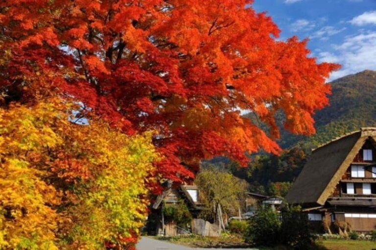 Nagoya: Takayama & Shirakawa-go Day Trip w/ Hida Pork Lunch - Sights and Activities in Detail