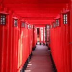 Naha: Guided E-Bike Tour of the 12 Zodiac Temples - An In-Depth Itinerary Breakdown