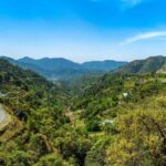 Nainital Nature Trekking Experience (4 Hours Experience) - Who Should Consider This Tour?