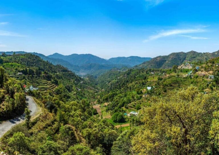 Nainital Nature Trekking Experience (4 Hours Experience) - Who Should Consider This Tour?