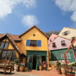 Nami Island and Petite France Private Tour - Exploring Nami Island: More Than Just a Pretty Face