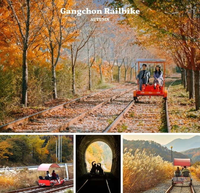 Nami Island, Railbike & Alpaca Garden Day Trip from Seoul - Why This Tour Offers Good Value