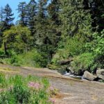 Nanaimo Urban Oasis Trail Walking Tour - Practical Details and What You Need to Know