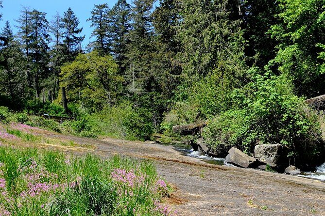 Nanaimo Urban Oasis Trail Walking Tour - Practical Details and What You Need to Know