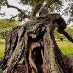 Nandi Trail Tour - The Sum Up: Who Will Love the Nandi Trail Tour?