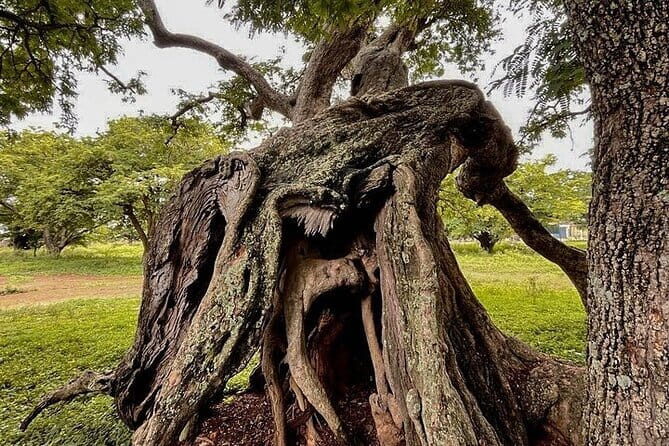 Nandi Trail Tour - The Sum Up: Who Will Love the Nandi Trail Tour?