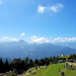 Nantou: Qingjing Farm Green Green Grassland Ticket & Combos - Exploring Qingjing Farm: A Deep Dive