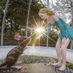 Nantou: Qingjing Small Swiss Garden Ticket & Combos - The Experience in Detail