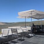 Napa and Sonoma Valley Wine 6 hour Tour from San Francisco - An In-Depth Look at the Napa and Sonoma Wine Tour