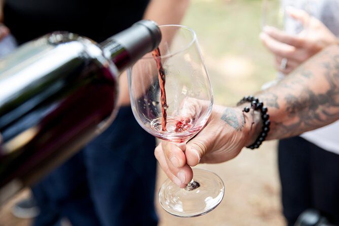 Napa and Sonoma Wine Country Full-Day Tour from San Francisco - Who Should Take This Tour?