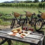 Napa or Sonoma Private Wine Tour from San Francisco - Who Will Appreciate This Tour?
