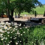 Napa & Sonoma Wine Tour | 6-8hr Private Fully Customized.*XL SUV - Frequently Asked Questions