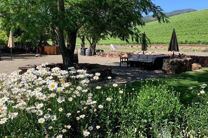 Napa & Sonoma Wine Tour | 6-8hr Private Fully Customized.*XL SUV - Frequently Asked Questions