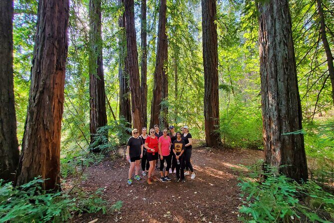 Napa Valley Redwood Hike - Frequently Asked Questions