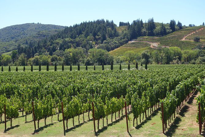 Napa Valley Wine Tasting Tour 6 to 8 Hours max 14 passenger - Final Thoughts: Is This the Right Tour for You?