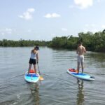 Naples Fl, Paddleboard Mangrove Forest Tour - Analyzing the Value: Price and Experience