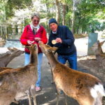 Nara: 3-Hour Guided Tour with Deer, Great Buddha & Shrines - What Makes This Tour Stand Out