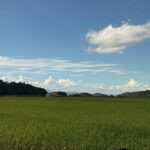 Nara: Asuka, Ancient Capital & Future Heritage Private Tour - Exploring the Heart of Asuka: A Detailed Review