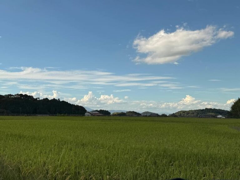 Nara: Asuka, Ancient Capital & Future Heritage Private Tour - Exploring the Heart of Asuka: A Detailed Review