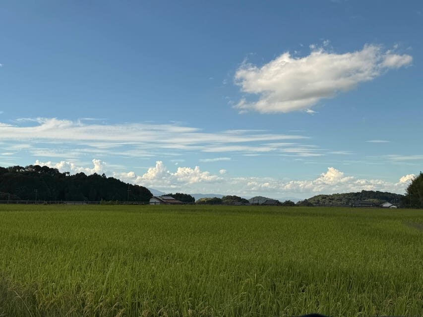 Nara: Asuka, Ancient Capital & Future Heritage Private Tour - Exploring the Heart of Asuka: A Detailed Review