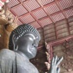 NARA: Budda gigante, Cervi liberi nel parco (Guida italiana) - Why This Tour Offers Good Value