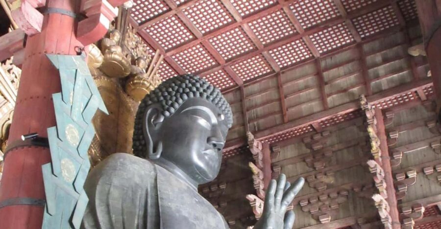 NARA: Budda gigante, Cervi liberi nel parco (Guida italiana) - Why This Tour Offers Good Value