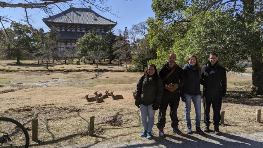 Nara: City Highlights Shared Group or Private Bike Tour - Who Should Consider This Tour?