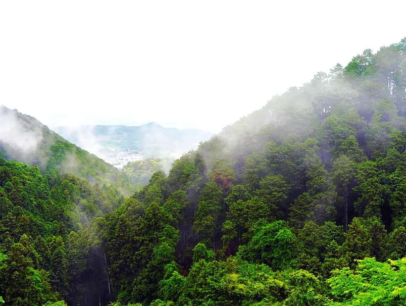Nara: Discover a Giant Stone Buddha in the Forest Hills - The Highlight: The Giant Stone Buddha