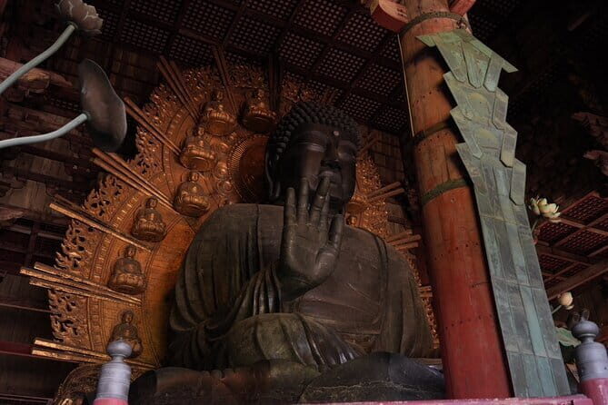 Nara Early Bird Tour (Osaka Departure Option) - Final Thoughts