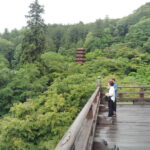 Nara: Explore Hasederas Giant Kannon and Cliffside Temple - Discovering Hasedera: A Sacred Treasure in Nara